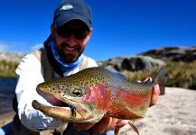 Fly-fishing Image of Rainbow trout shared by DIEGO COLUSSI – Fly dreamers