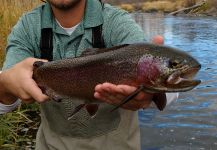 Fly-fishing Pic of Rainbow trout shared by Brandon Marr | Fly dreamers 