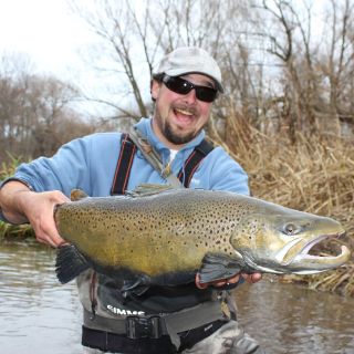 15 pound New York lake run brown trout