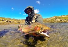 Carlo Iotti 's Fly-fishing Photo of a Rainbow trout – Fly dreamers 