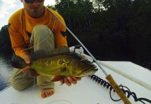 Marcos Hlace 's Fly-fishing Photo of a Peacock Bass – Fly dreamers 