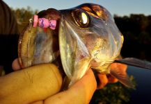  Captura de Pesca con Mosca de Tarpón por Hai Truong – Fly dreamers