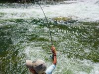 Fly fishing picture