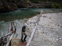 Fly fishing picture