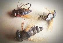  Fotografía de atado de moscas para River tiger por Hernán Tula | Fly dreamers 
