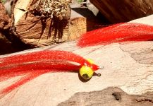  Fotografía de Atado de moscas para Corvina Rubia compartida por Gabriel Pokorny | Fly dreamers