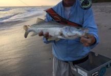  Fotografía de Pesca con Mosca de Snook - Róbalo por David Bullard | Fly dreamers 