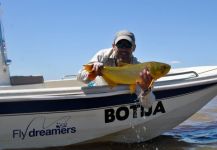 Pesca Rió Paraná , en el Paraná Gipsy River Cruiser, Golden Dorado