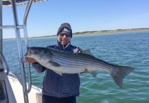  Captain Bob Salerno 's Fly-fishing Pic of a Striper | Fly dreamers 