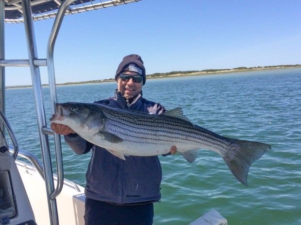 Striped Bass 37"  11-19-2016   Little Narragansett Bay 