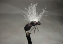 Agostino Roncallo 's Fly-tying for Loch Leven trout German - Photo | Fly dreamers 