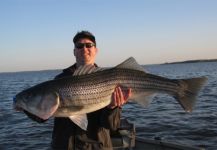 Fly-fishing Photo of Striped Bass shared by  Captain Bob Salerno | Fly dreamers 