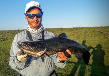 Gabriel Badano 's Fly-fishing Catch of a Hoplias azul | Fly dreamers 