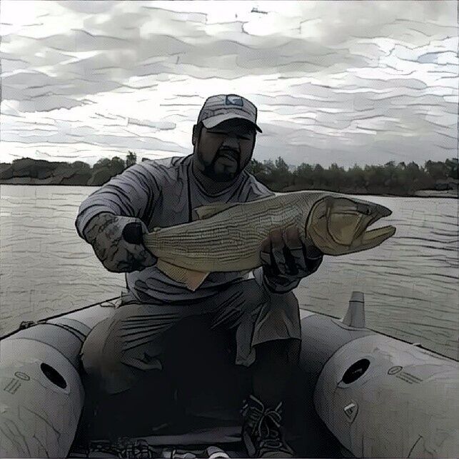 Dorado en Loreto