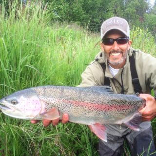 Guided Kenai River Rainbow Trout fishing with Alaskan Guide Perry Corsetti.