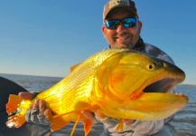 Dorado on the fly