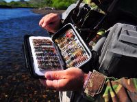 Fly fishing picture