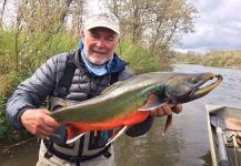 Bristol Bay Lodge Lodge 's Fly-fishing Image of a Dolly Varden | Fly dreamers 