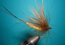 Fly-tying for Loch Leven trout German -  Image shared by Agostino Roncallo | Fly dreamers
