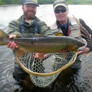 Tikchik Lodge - Rainbow trout