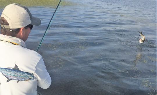 Fishing Report Gulf of Mexico and Atlantic Ocean by Capt