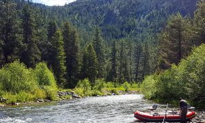Bitterroot River, Darby, Montana, United States