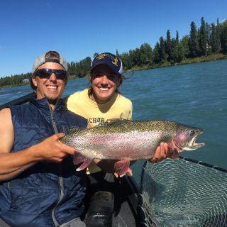 Middle Kenai Rainbow trout are big and fun.