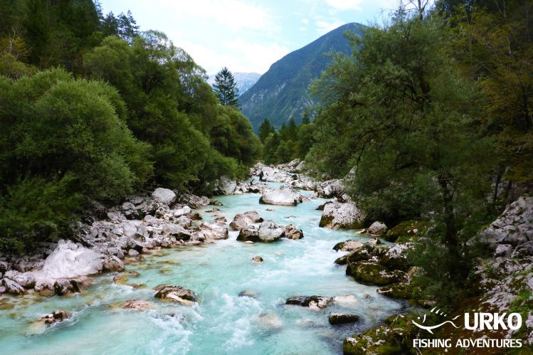 Ahh Soča ... Three more months and we'll fish here again!