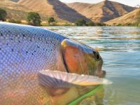 Foto de pesca con mosca