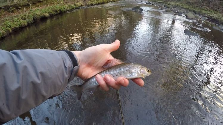 River Don, Sheffield, United Kingdom