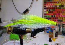 Ignacio Silva 's Fly for Peacock Bass - | Fly dreamers 