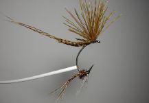 Fly-tying for German brown - Photo by Agostino Roncallo | Fly dreamers 