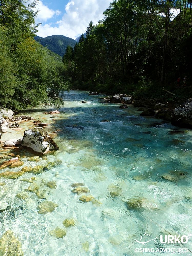 Soča "emerald river"  ... Fly fishing in Slovenia