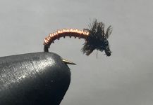 Good Fly-tying Pic by Todd Green 