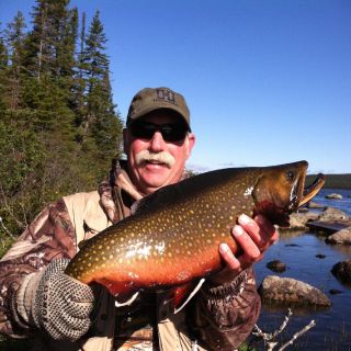 September 8 pound Brook Trout in bright breeding colors!