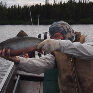 Guest about to release a healthy Brook Trout at Igloo Lake Labrador in 2016