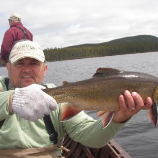 Brook Trout heaven - Igloo Lake Lodge