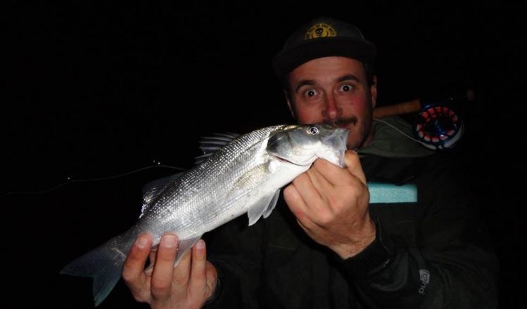 Seabass flyfishing in south of france