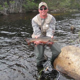 Stream fishing for Brook Trout at Igloo Lake Lodge in Labrador