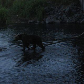 Foto de pesca con mosca