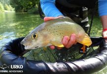 Fly Fishing for Lady of the river in Sava Bohinjka River | Fly dreamers 