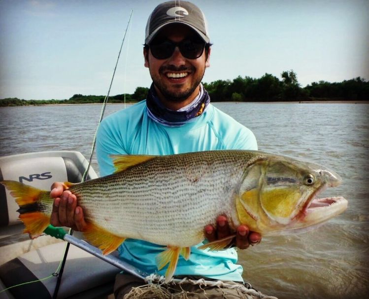 Dorado del dulce
Buena jornada