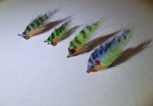Good Fly-tying Image shared by Henrik Megyer | Fly dreamers