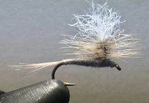 Fly-tying Pic by Todd Green 