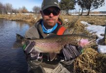 Chris Andersen 's Fly-fishing Pic of a Rainbow trout | Fly dreamers 