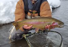 Fly-fishing Situation of Rainbow trout - Photo shared by Darin Day | Fly dreamers 