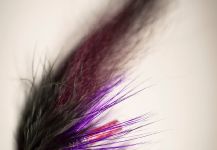 Nicolas Buoro 's Fly-tying for Smolt - Photo | Fly dreamers 