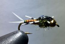 Interesting Fly-tying Photo shared by Todd Green | Fly dreamers 