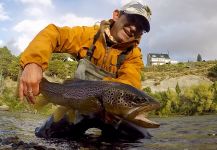 Fly-fishing Photo of Browns shared by Rodo Radic | Fly dreamers 