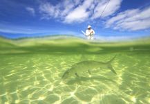 Bonefish Fly-fishing Situation – Peter Mantle from Bahamas shared this Image in Fly dreamers 